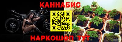 прущие крисы Рузаевка